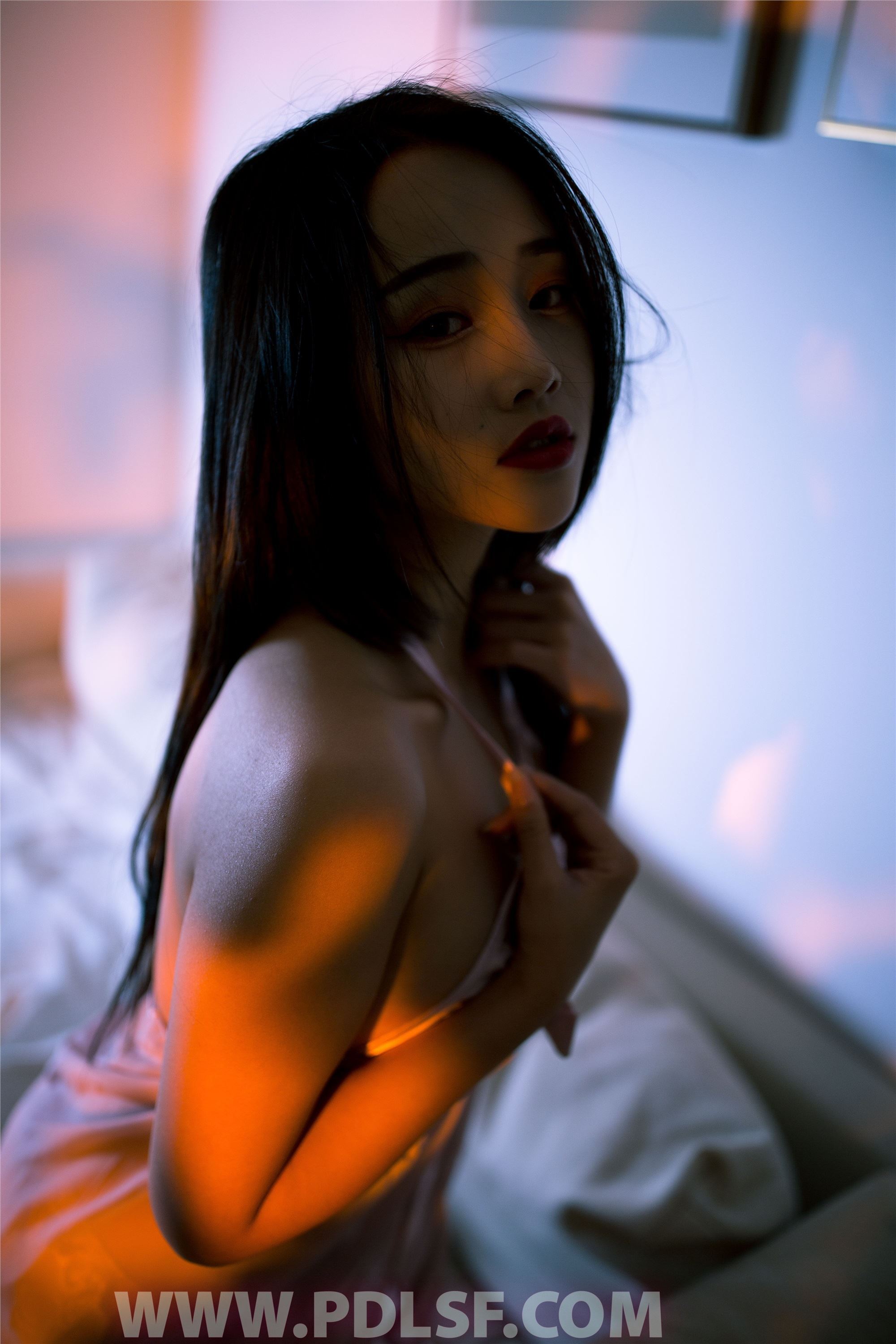 PDL潘多拉 2020.01.10 专辑No.265